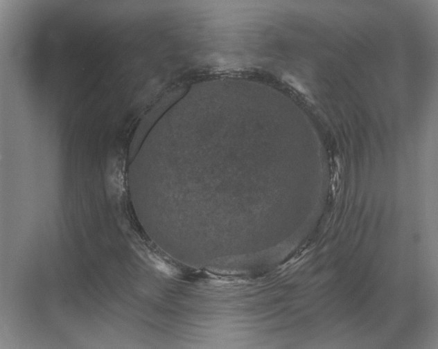 X0000069811348200605261738