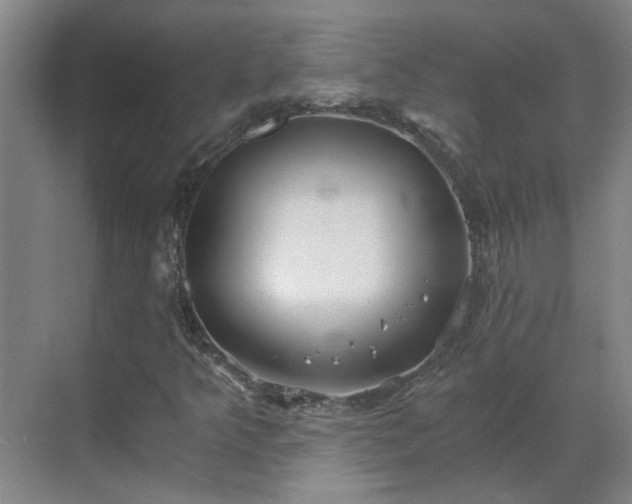 X0000069811349200605261738