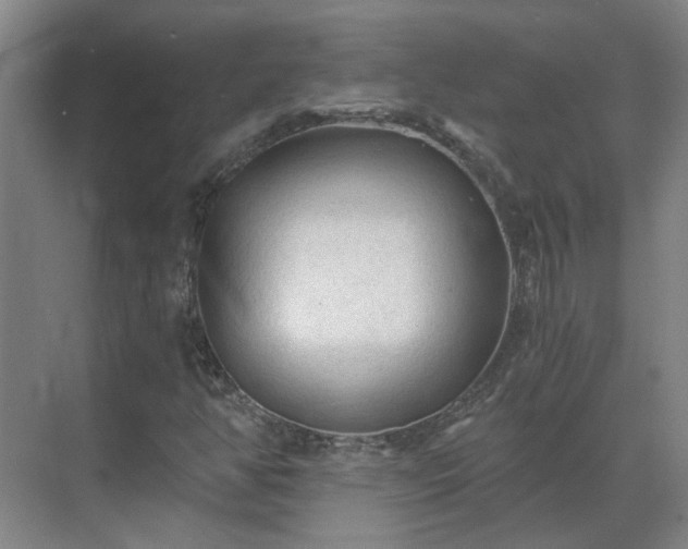 X0000069811350200605261738