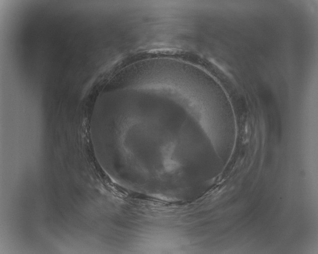 X0000069811351200605261738