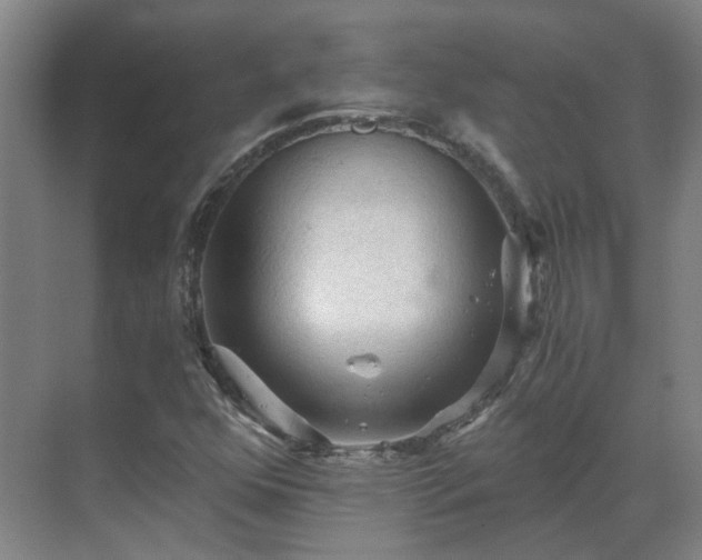 X0000069811352200605261738