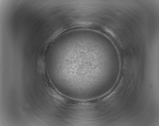 X0000069811354200605261738