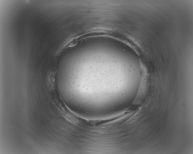 X0000069811355200605261738