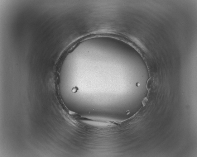 X0000069811356200605261738