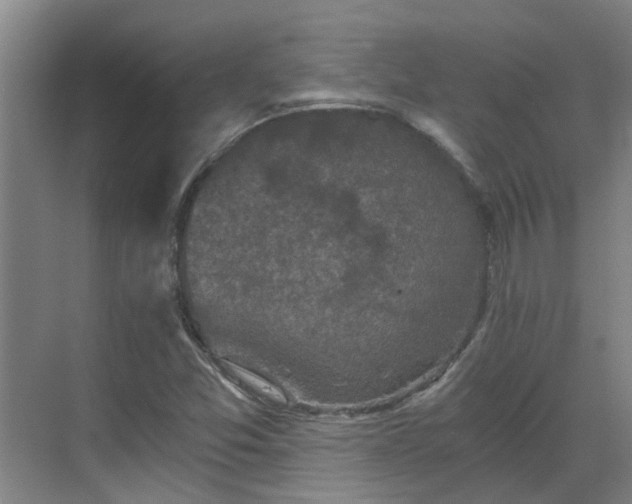 X0000069811357200605261738