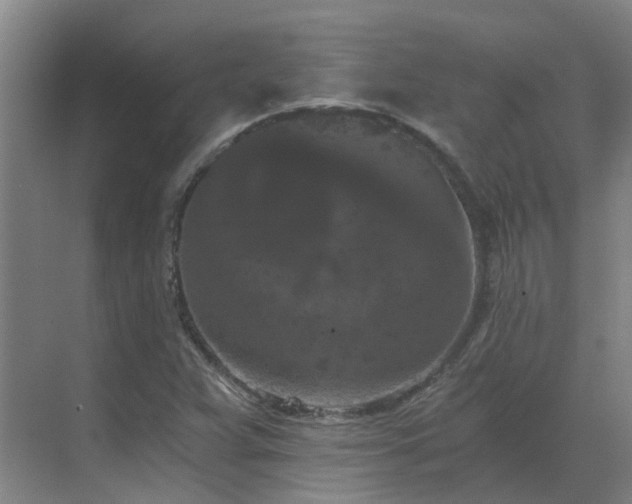 X0000069811359200605261738