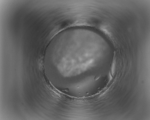 X0000069811361200605261738