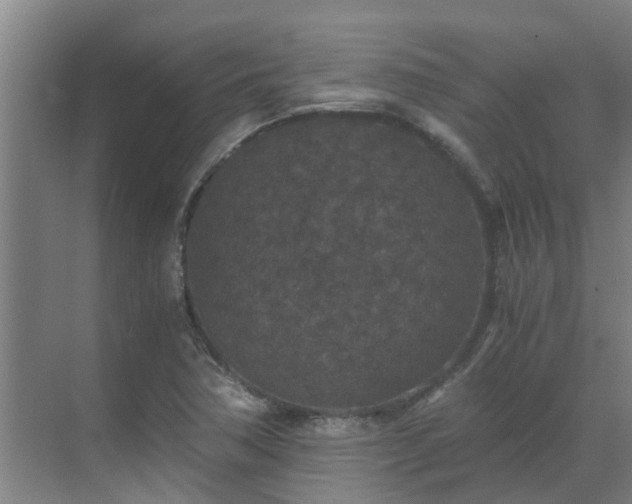 X0000069811362200605261738