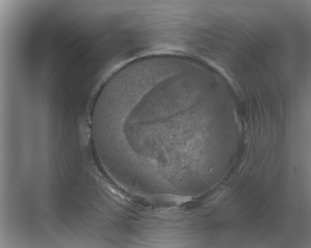 X0000069811363200605261738