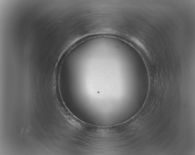 X0000069811364200605261738