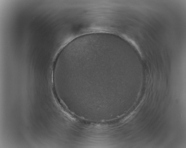 X0000069811365200605261737