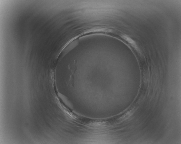 X0000069811369200605261737