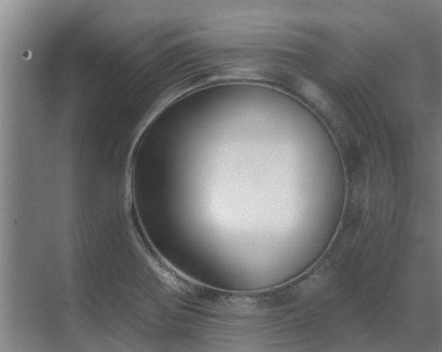 X0000069811370200605261737