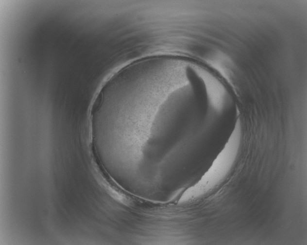 X0000069811371200605261737