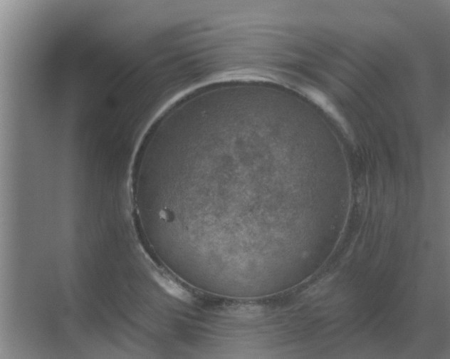 X0000069811372200605261737