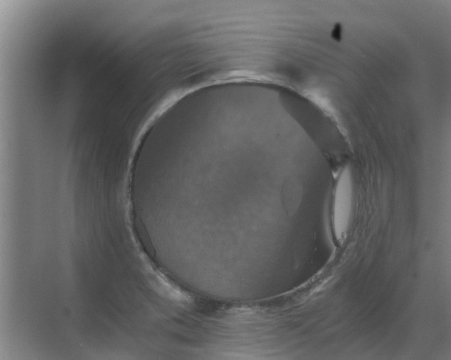 X0000069811373200605261737