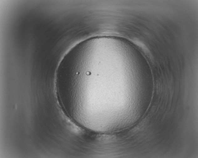 X0000069811374200605261737