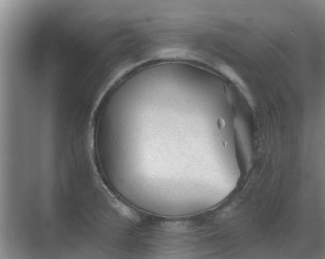 X0000069811376200605261737