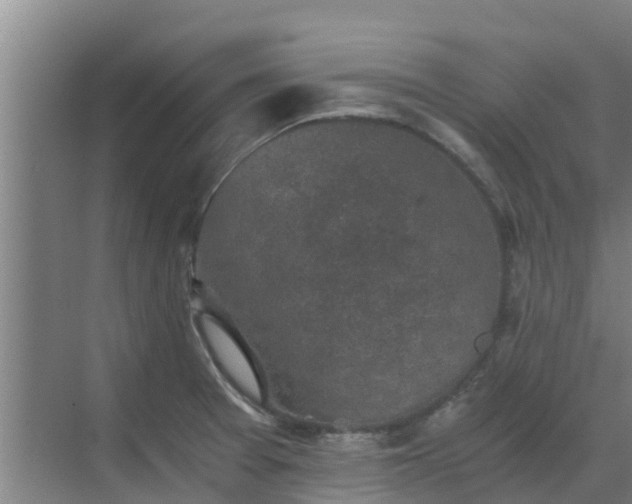 X0000069811377200605261737