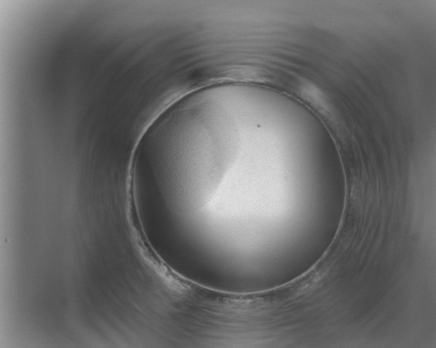 X0000069811378200605261737