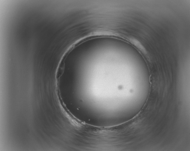 X0000069811380200605261737