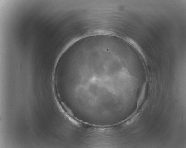 X0000069811381200605261737