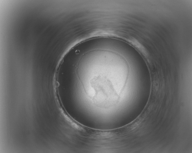 X0000069811382200605261737