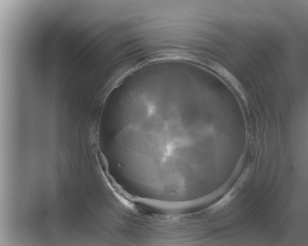 X0000069811385200605261737