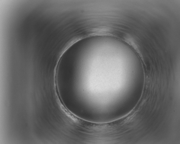 X0000069811386200605261737