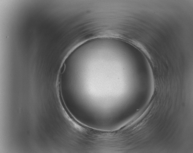 X0000069811387200605261737