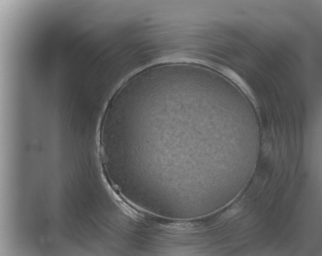 X0000069811388200605261737