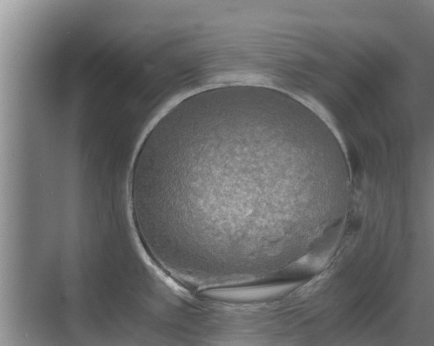 X0000069811389200605261737