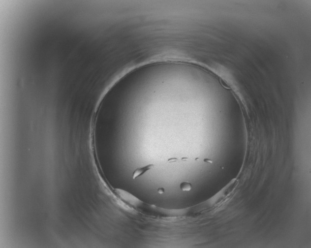 X0000069811390200605261737