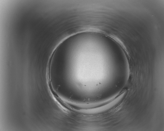 X0000069811391200605261737