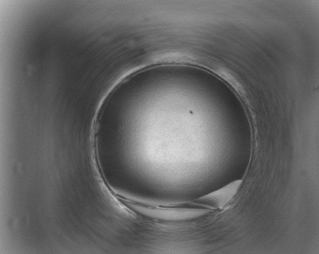 X0000069811392200605261737