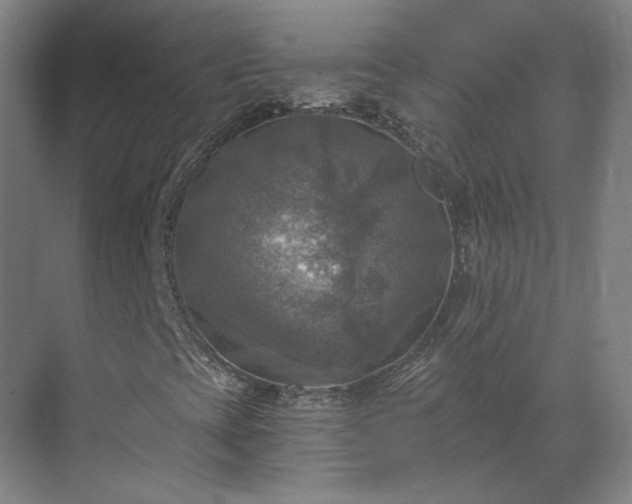 X0000069811393200605261736