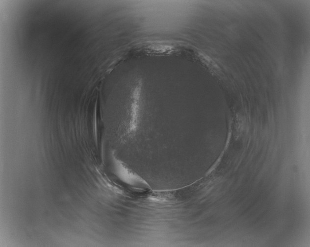 X0000069811394200605261736