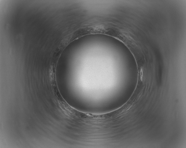 X0000069811395200605261736