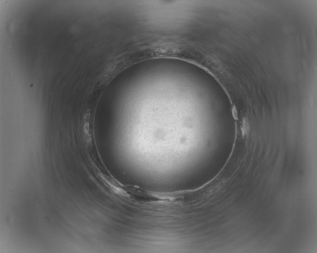 X0000069811396200605261736