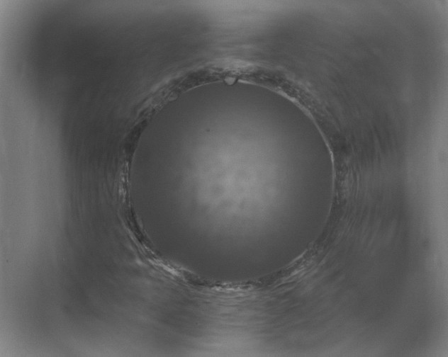 X0000069811397200605261736