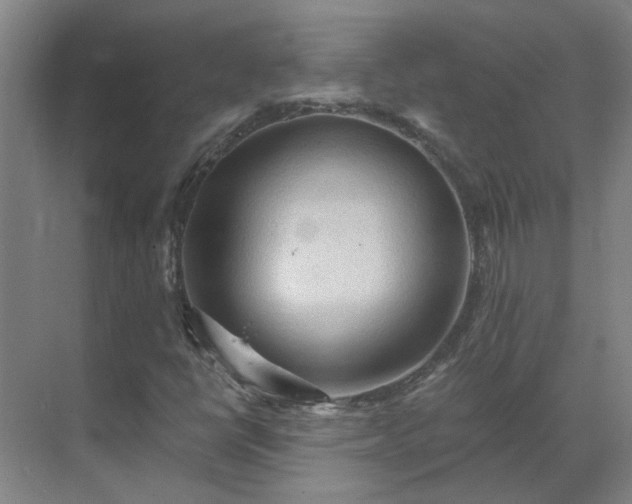 X0000069811398200605261736