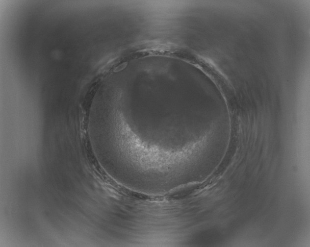 X0000069811399200605261736