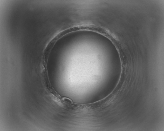 X0000069811400200605261736