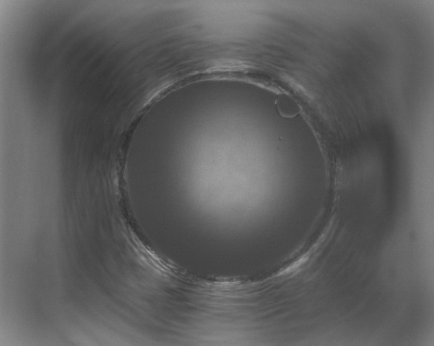 X0000069811401200605261736