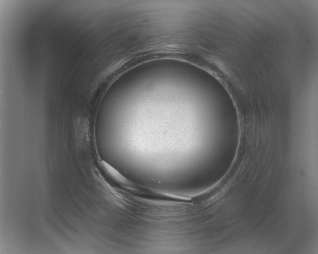 X0000069811402200605261736