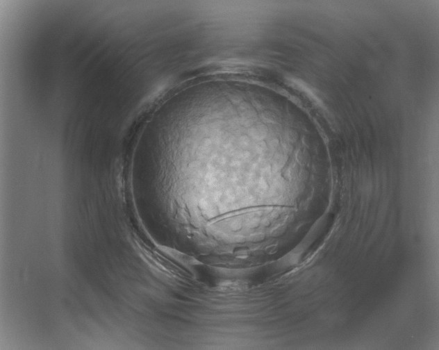 X0000069811403200605261736