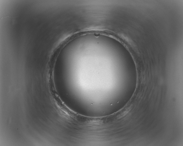 X0000069811406200605261736