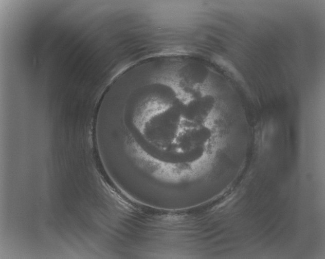 X0000069811409200605261737