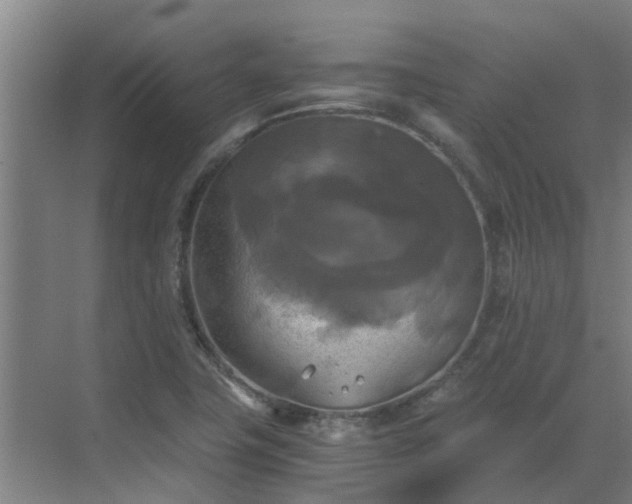 X0000069811411200605261737