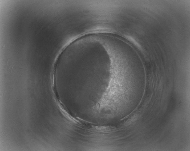 X0000069811413200605261737